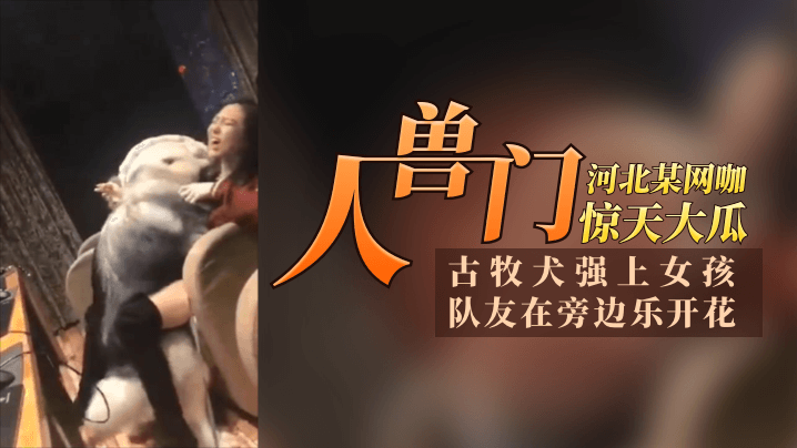 【12.11惊天大瓜】河北某网咖“人兽门”HD古牧犬强上女孩，队友再旁边乐开花，青年人太会玩了HD